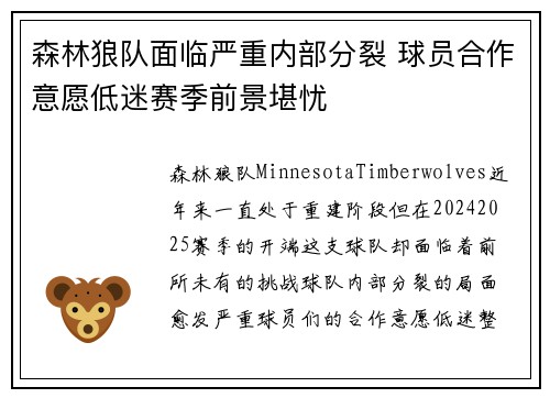 森林狼队面临严重内部分裂 球员合作意愿低迷赛季前景堪忧