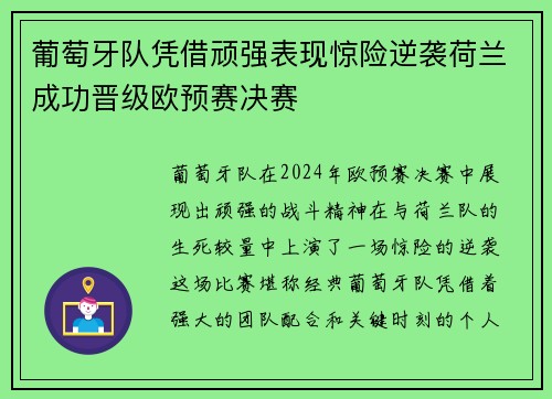 葡萄牙队凭借顽强表现惊险逆袭荷兰成功晋级欧预赛决赛