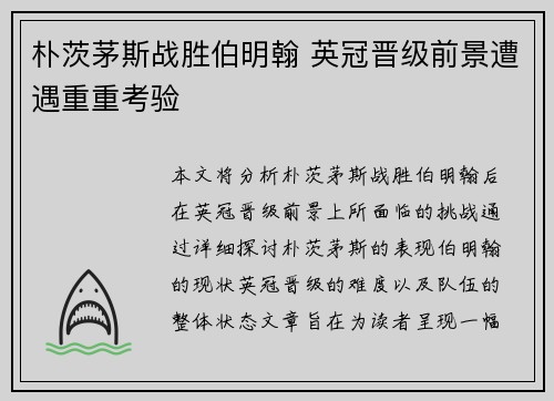 朴茨茅斯战胜伯明翰 英冠晋级前景遭遇重重考验