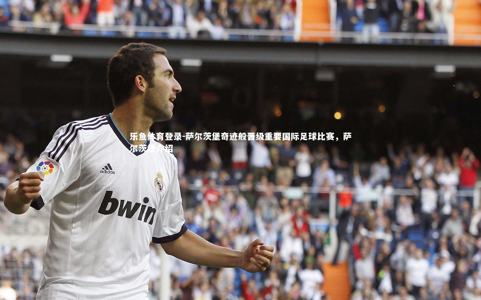 萨尔茨堡奇迹般晋级重要国际足球比赛,萨尔茨堡介绍