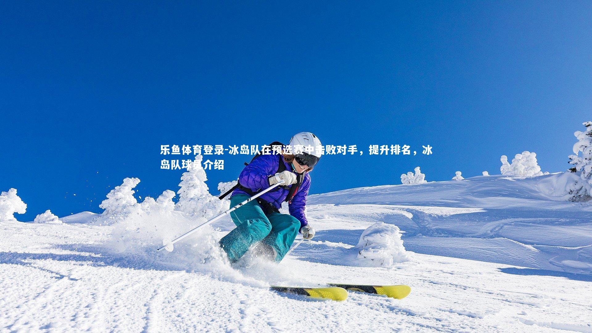 冰岛队在预选赛中击败对手,提升排名,冰岛队球员介绍